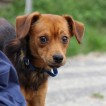 IMG_0609