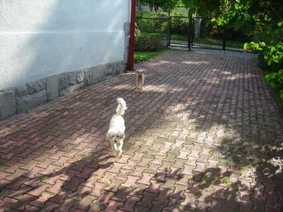 dscn3139.JPG