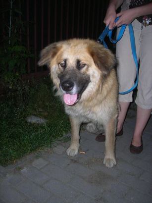 image001.jpg