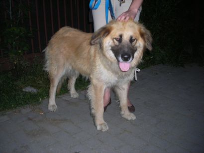 image003.jpg