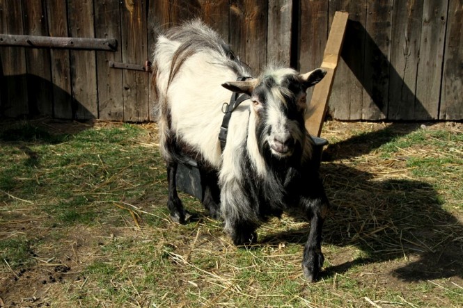 image089