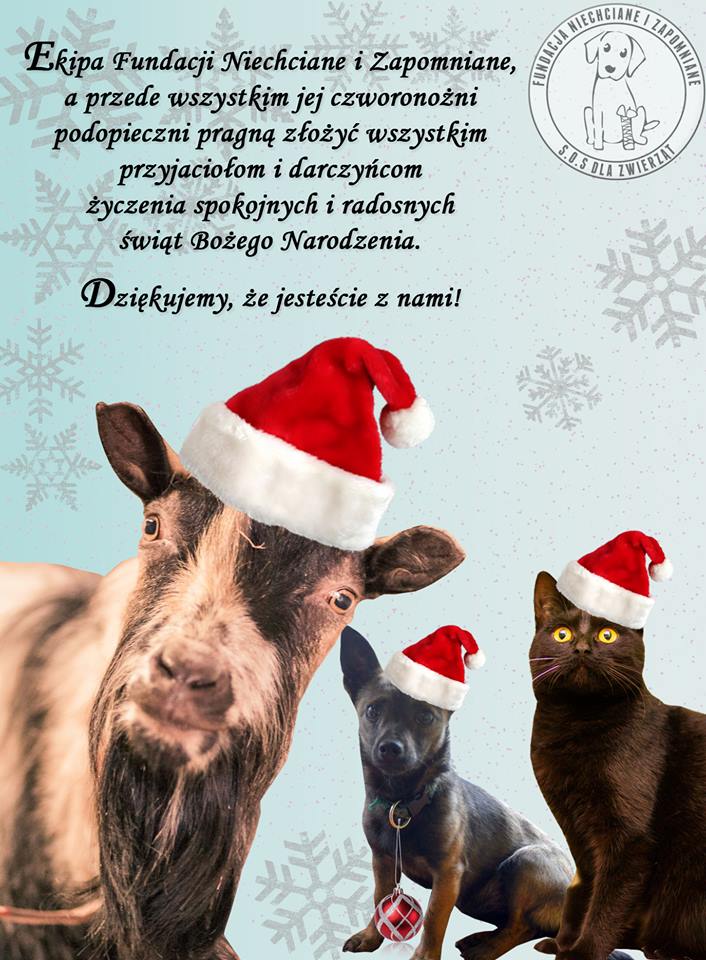 merry