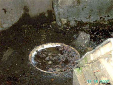 pict3890.JPG pict3890.JPG