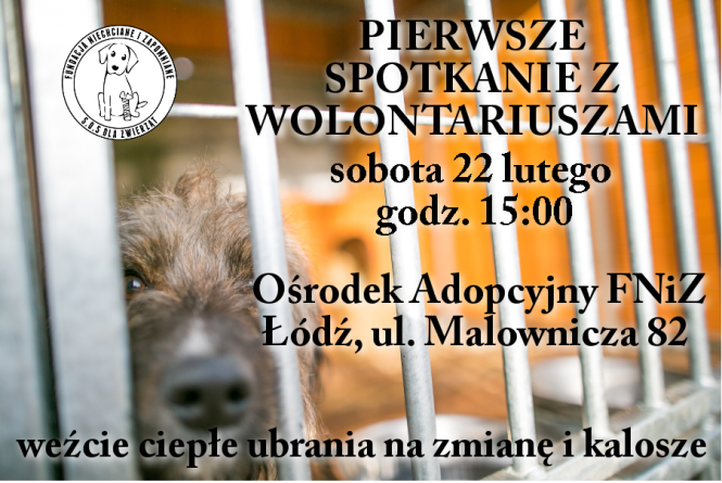 spotkanie wolontariusze